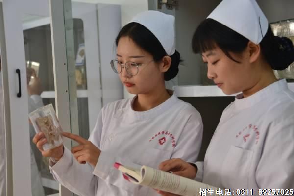 石家庄冀联医学院护理班的同学们在实训室里看书识别仪器药剂